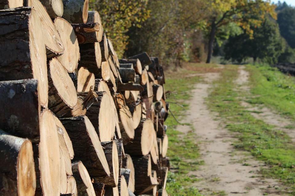Sulkendrup Molle Daire Nyborg Dış mekan fotoğraf